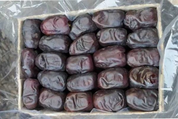 تصویر 1 از قیمت خرید خرما مضافتی درجه یک ریگان + قیمت مناسب